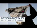 Download Lagu Бухенвальд запретил символы Палестины