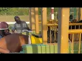 Everything WithJahv is live