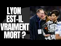 Download Lagu LE LYON EST-IL VRAIMENT MORT ?