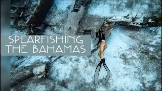 Spearfishing the Bahamas / Replacing Starter / Naked Sailors? 👀 Episode 24