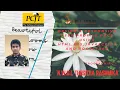 Task 10 - Design a responsive user profile page using HTML CSS JavaScript and Bootscrap