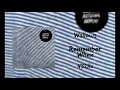 Wallows - Remember When 432hz