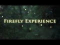 Download Lagu Firefly Experience - Summer Night with Fireflies (Lightning Bugs)