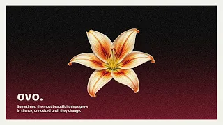lilly.
