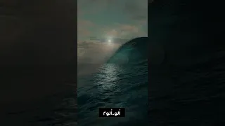 ألو يا عمري وينك ألو يا شبابي وينك ألو يا الغالي وين 