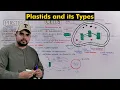 Chloroplast Chromoplast and Leucoplast Plastids and its types Detailed Series