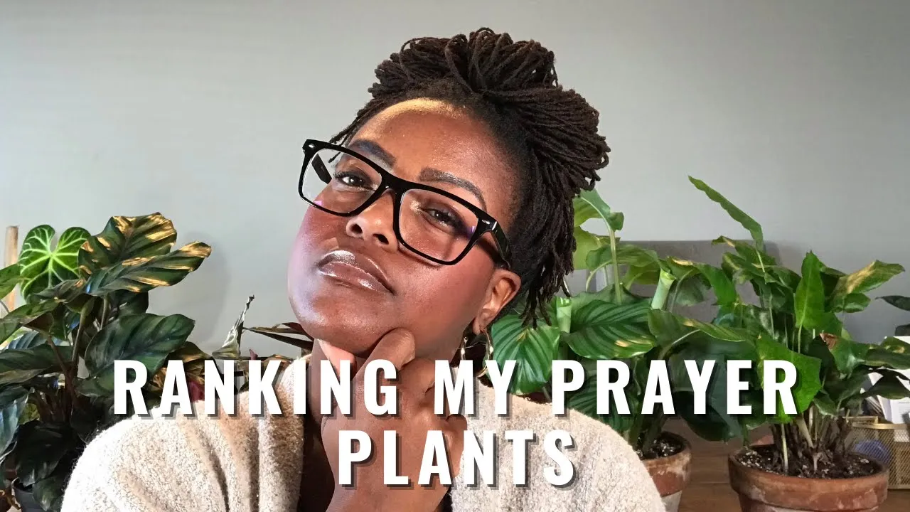 Ranking All of my Prayer Plants Beginner to Advanced Difficulty