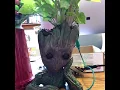 I am groot project