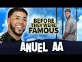Anuel AA Before They Were Famous 90 Days Spent In Solitary Confinement