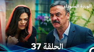 (Arabic Dubbed) الوردة السوداء الحلقة 37 - النسخة الطويلة