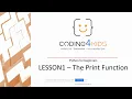 Lesson 1 - Python for beginners