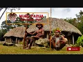 Download Lagu Lagu Dero Papua ~Saki~