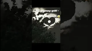 سحاره و راني قابل 