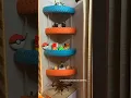 Kids room shelf with tyre