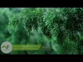 Rainy Day • Relaxing Piano Music with Soft Rain Sounds | Sleep, Study, Relax