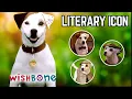 WISHBONE How a Jack Russell Made Us Love Classic Literature