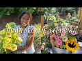 how i became a florist flower farmer with no experience