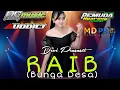 Download Lagu RAIB (Bunga Desa) - Devi Prasasti  RC Audiency Music ft Auddict Audio