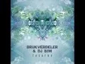Download Lagu Drukverdeler \u0026 DJ Bim Live @ Psychedelic Circus