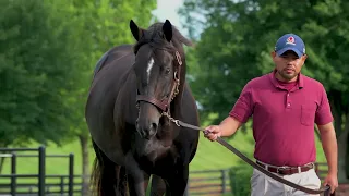 not this time feature video