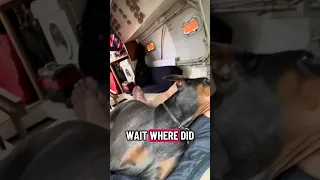 #fyp #dream #doberman #pets #youtube