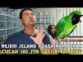 Lagu REJEKI SI BAPAK GANTENG || NEMU CUCAK IJO BIG JANTAN GACOR CUMA 400 RIBU FI PASAR BURUNG PRAMUKA 