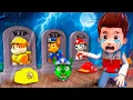 Download Lagu ¡Todos Los Cachorros, Despierten Por favor! Chase Se Convirtió En Zombi?| Animación 3D de Paw Patrol