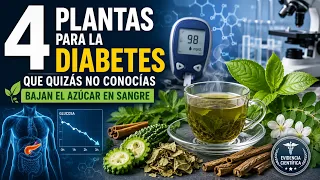 4 Plantas para la DIABETES que Quizás No Conocías - Bajan el Azúcar en Sangre