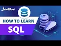How to Learn SQL SQL Basics for Beginners Intellipaat