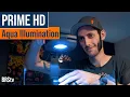 So Popular So Compact So Affordable AI Prime 16 Spotlight Unboxing and Review
