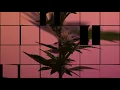 Buju Banton - Ganja Man (lyrics cc)