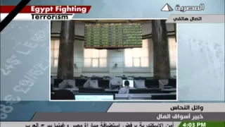 وائل النحاس في مداخلة لقناة الفضائية المصرية 22 08 2013 