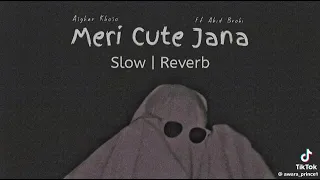 meri cute jana slowed reverb singer asghar khoso