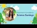 Science Sundays - Life Cycle of a Frog
