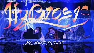 nemophila hypnosis official music video 
