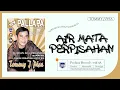 Download Lagu Tommy J Pisa ft New Pallapa - Tears of Parting ( Official Music Video )