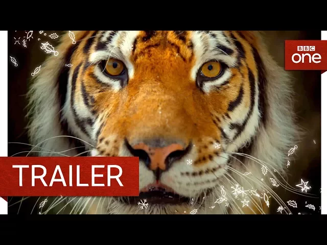 Big Cats: Trailer - BBC One