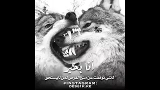 حالات واتس اب الذئاب استوري الجديد 