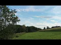 Peaceful Meadow 🌾 Natural Wind & Countryside Sounds | 30 Minutes