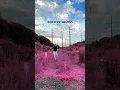 Download Lagu #jvke #butterflies #txt #chaewon #taehyun #lesserafim ❤️\