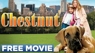 CHESTNUT THE HERO OF CENTRAL PARK Official Movie 