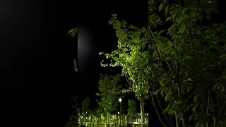 خيالي م تعب  م ثلي دندنها