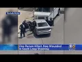 One Person Killed Dog Wounded In South Loop Shooting