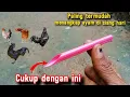 Lagu Cukup pakai ini !! Cara termudah menangkap ayam di siang hari, tutorial menangkap ayam