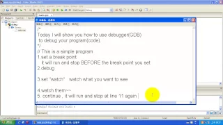 How to use Debug in Code Blocks