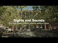 Sights and Sounds The Ohio State University Wexner Medical Center