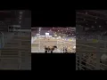 Matagorda County Fair and Livestock Show 2022 What a blast Just a quick slideshow and