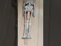 How to make a science project for class 5 skeleton
