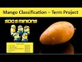 Team15 -AI Cup 2020 -Mango Classification- Deep Learning Term Project