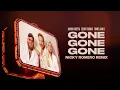 David Guetta, Teddy Swims, Tones And I - Gone Gone Gone (Nicky Romero Remix) [Visualizer]